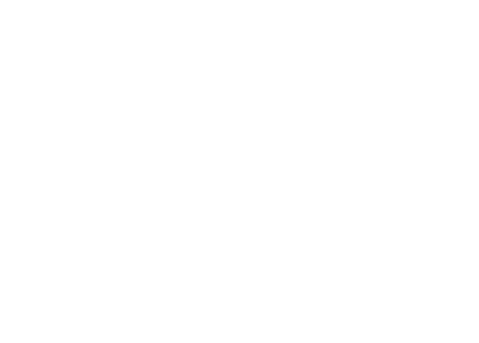 vector